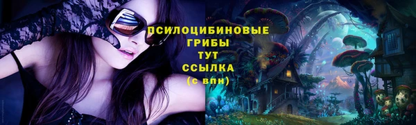 таблы Армянск