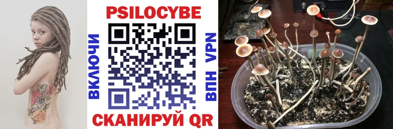 shop телеграм Неман Галлюциногенные грибы мухоморы